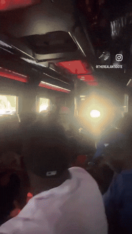 What The Hell Wtf GIF