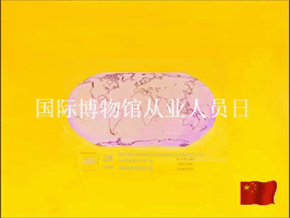 China Museos GIF