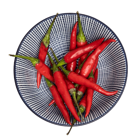 BONSAI RESTAURANT Sticker