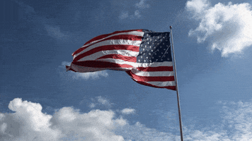 United States Usa GIF by Richard Childress Racing