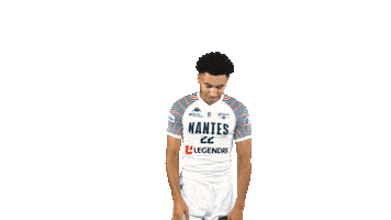 Basketball Harvey Sticker by Nantes Basket Hermine
