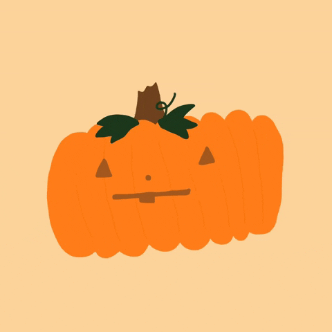 mollychou halloween pumpkin jackolantern halloweenie GIF