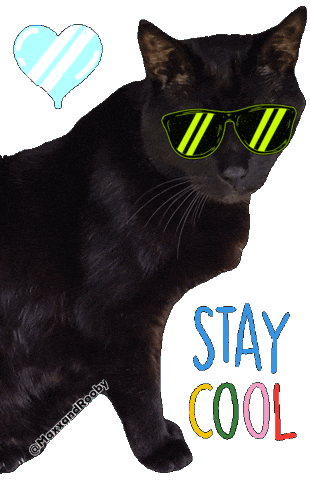 Black Cat Sticker