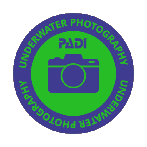 Underwater Photography Sticker by PADI