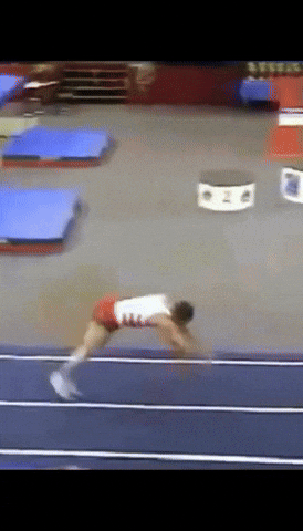 Jozefwadecki Flips Tumbling Flip Salto GIF