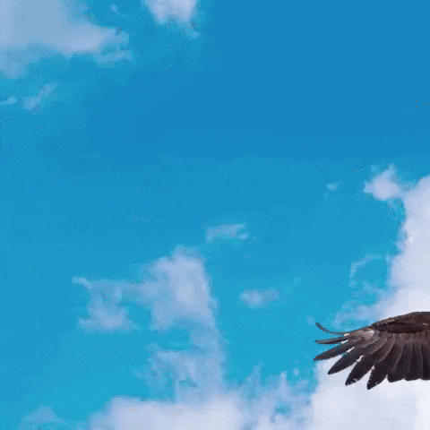 Happy In The Sky GIF by Rockharbortv