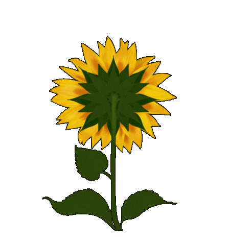 Summer Sunshine Sticker by Neeryletters