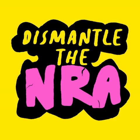 Dismantle the NRA