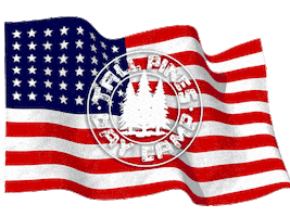 Day Camp Sticker by Tall Pines Day Camp