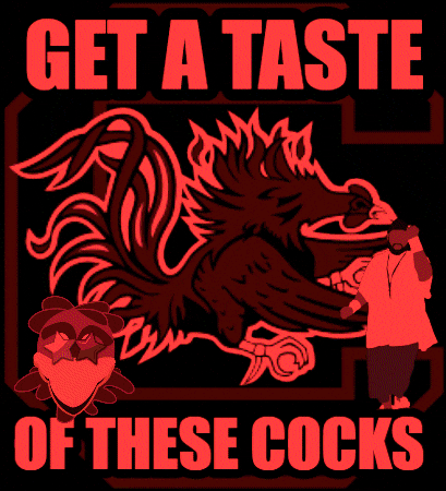 South Carolina Gamecocks GIF