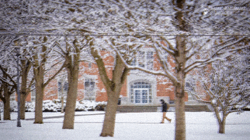 Winter Campus GIF by Saint Michael's College