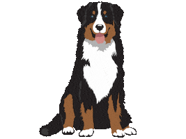 BARKHAVEN Sticker