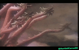 Toho GIF