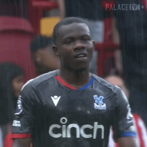 Premier League Rain GIF by Crystal Palace Football Club