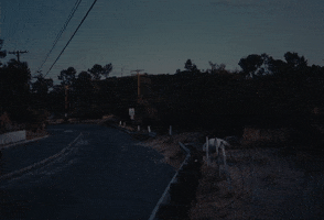 Music Video Evening GIF by glaive