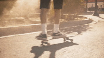 skate earth GIF by Lil Dicky