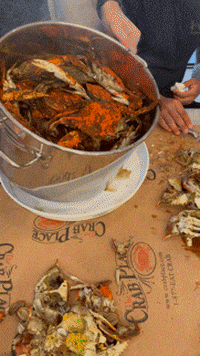 Blue Crab Seafood GIF by The Crab Place