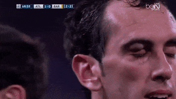 troll-football  GIF