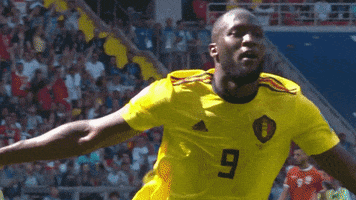 Flying Red Devils GIF by Royal Belgian FA