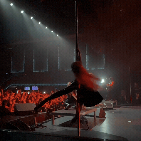 Poledance GIF by Murkagrey