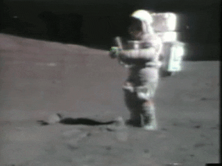 Moon Falling GIF by MIT  - Find & Share on GIPHY