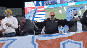 Sport Fans GIF by Chicago Fire Football Club