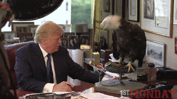 trump eagle GIF