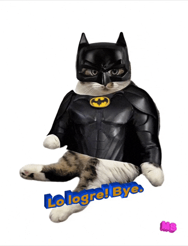 Cat Batman GIF by jotajoseph