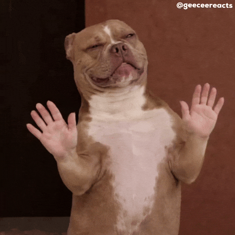 Dog Lmao GIF