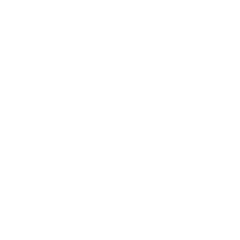 Welle Club NZ Sticker