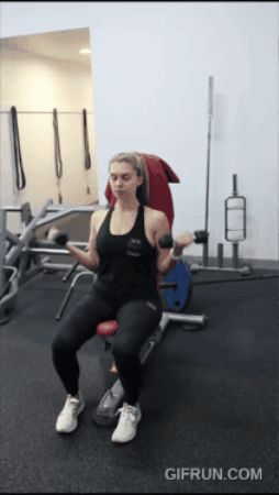 Seated Dumbbell Bicep Curls GIF