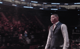 Li Jingliang Sport GIF by UFC
