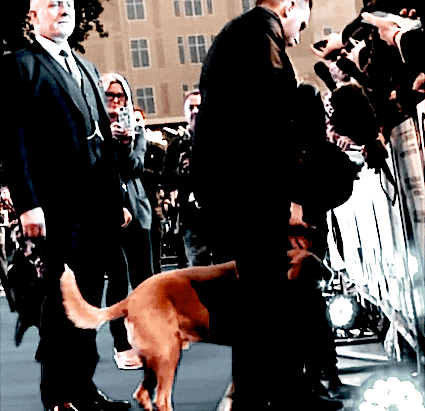 Charlotte-riley GIFs - Get the best GIF on GIPHY