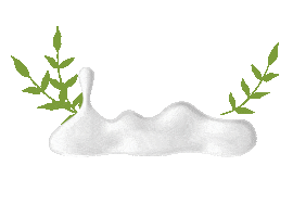 Skincare Glowing Sticker by Buza Beauty