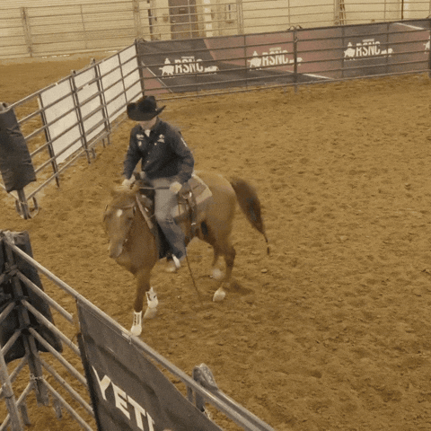 GIF by Horse&Rider Magazine