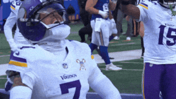 Celebration Nfl GIF by Minnesota Vikings