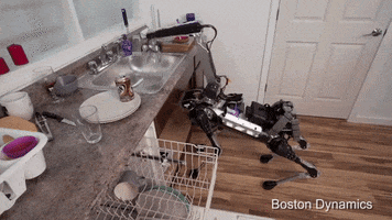 njcrofts  GIF