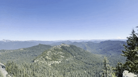 giphy.gif?cid=9b38fe91nw5k68vwr10nmfnry7