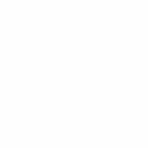 Brand GIF by Gypsea Agency
