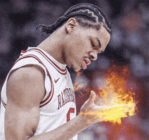 Arkansas Razorbacks Basketball GIF