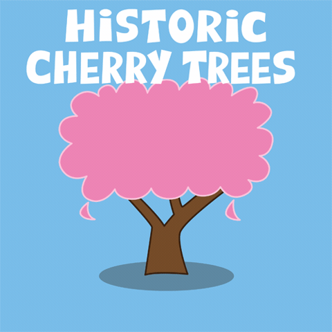 Cherry Tree Trump GIF by joeyahlbum