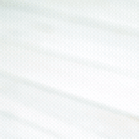 GIF by Nutriversum