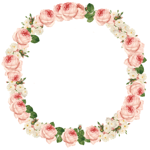 The Rosé Picnic Sticker