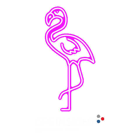 GPSinsight Sticker