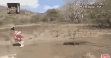 saori japanese japanese tv japanese anime imoto GIF