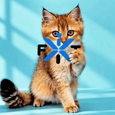 Cat GIF by iFitX