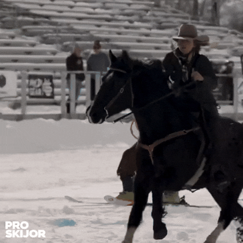proskijor GIF