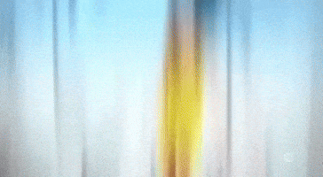 Real Housewives Lisa GIF