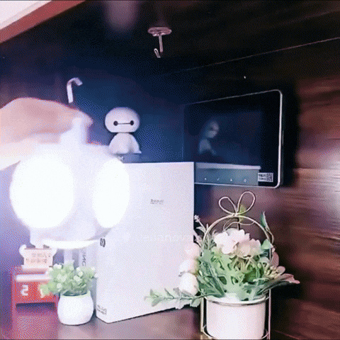 Animated GIF
