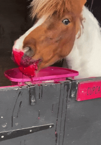 Cupcake Horse Eating GIF